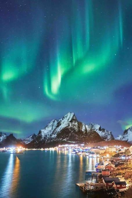 Reine Front View - Mountain & Seaview Exterior foto